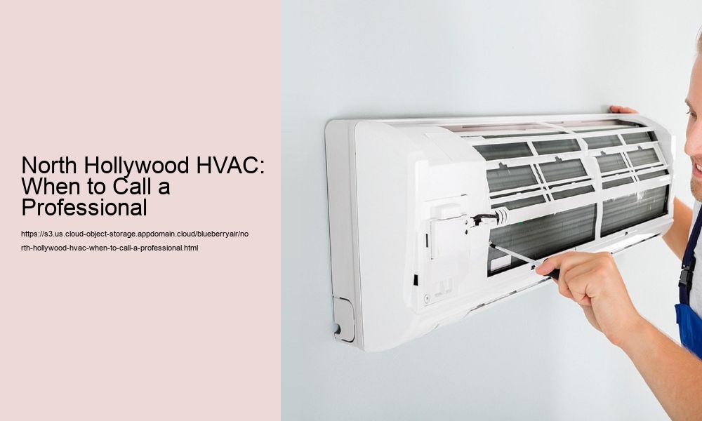 North Hollywood HVAC: When to Call a Professional